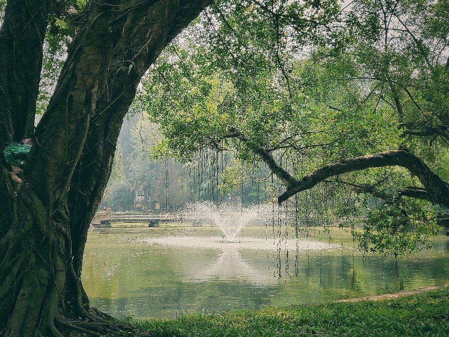 Bach Thao Park (Hanoi Botanical Garden)