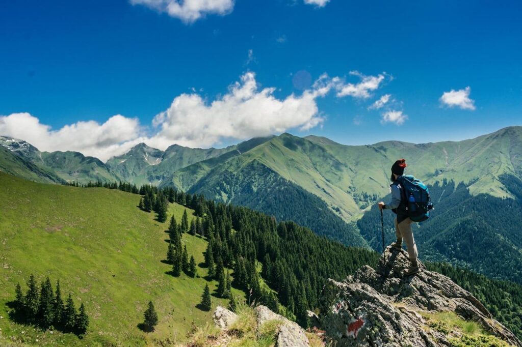 What Types of Gap Year Activities Can You Pursue?