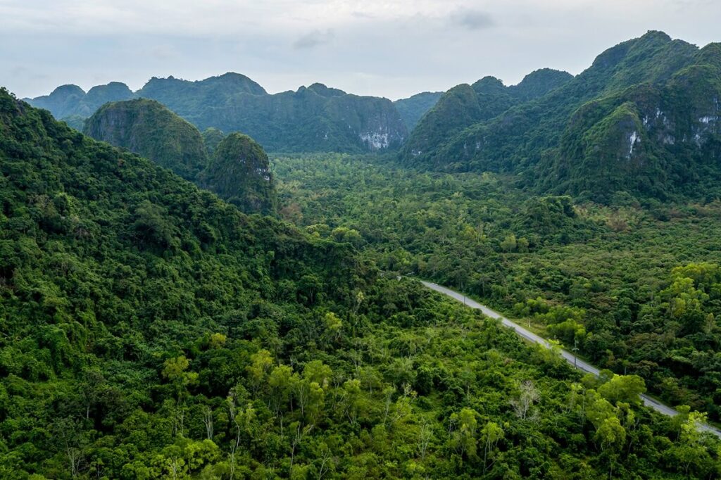 Cat Ba National Park