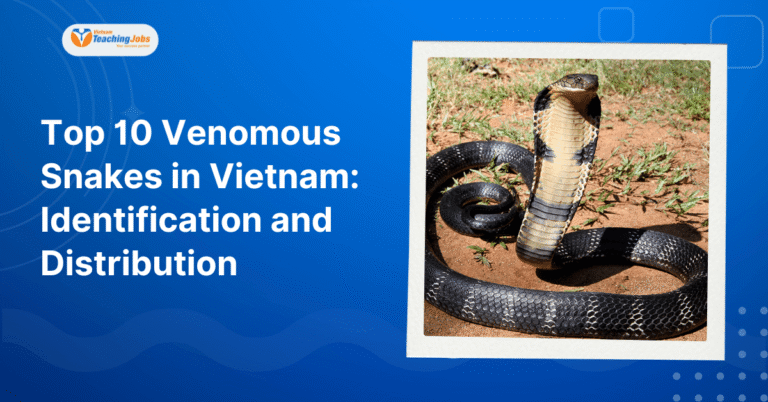 Top 10 Venomous Snakes in Vietnam